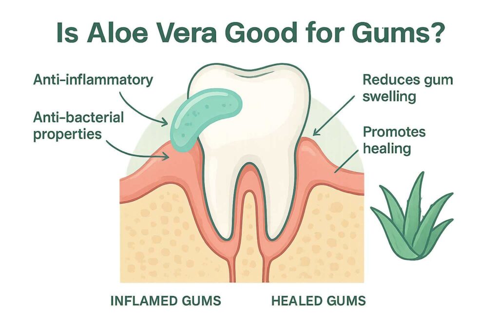 is aloe vera good for gums | how to use aloe vera gel for gum health